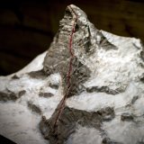 La route qu'auraient emprunté les alpinistes il y a 160 ans pour atteindre le sommet du Cervin.